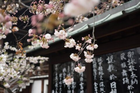 Lietuvos mokytojams – galimybė tobulintis Japonijoje
