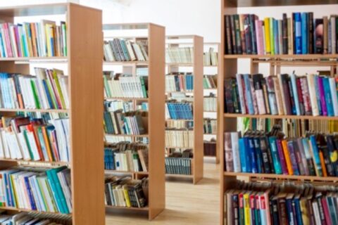 Atleista Lietuvių kalbos instituto direktorė