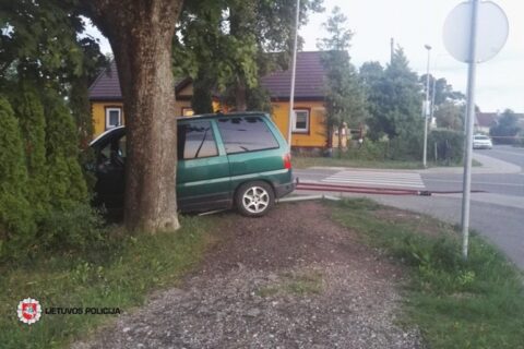 Mirtinai girtas kelių erelis kelio ženklus vartė it kėglius