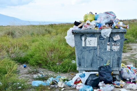 Paskui pasaulio lyderius: žiedinės ekonomikos sėkmės receptas Lietuvai