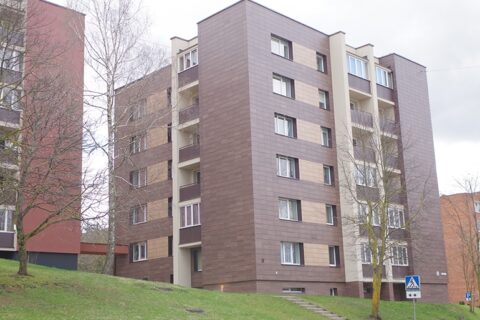 Surėmus pečius – už renovaciją