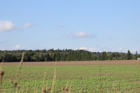 Mokslininkai, konsultantai ir ūkininkai – ranka rankon