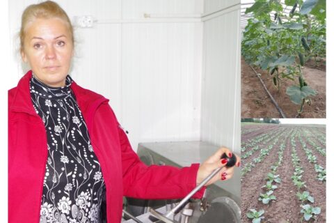 Darni daržininkų šeima žengia koja kojon su naujovėmis