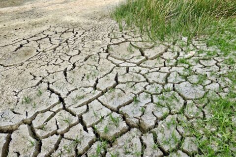 Draudimo įmokoms kompensuoti – daugiau kaip 3 mln. eurų
