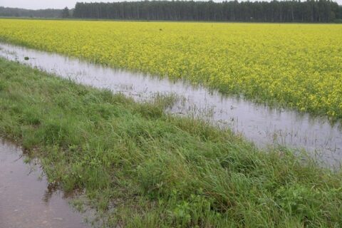 Žemės ūkio vandentvarkai – beveik 24 mln. eurų