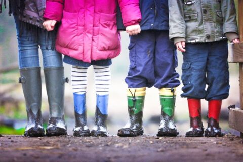 Seimas sutiko reglamentuoti lauko darželių veiklą