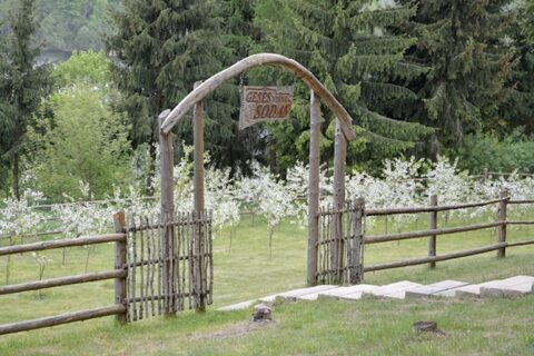 Tauragnuose E. Šimkūnaitės darbus įprasmins išskirtiniai atminimo ženklai