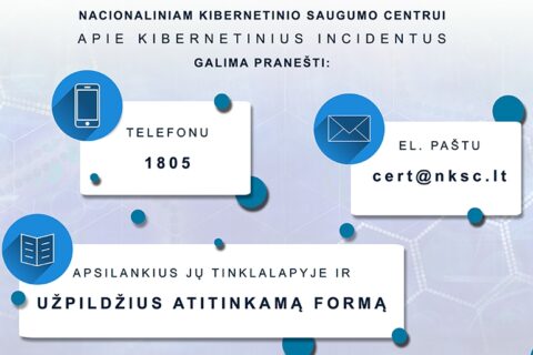 Šalies saugumą pažeisti galima ne tik tankais