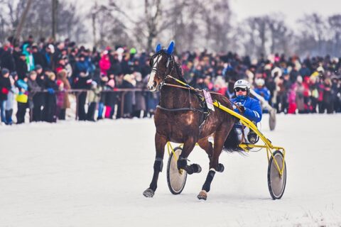 Šiemet Sartų žirgų lenktynės neįvyks