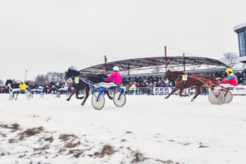 Orai koreguoja ir žirgų lenktynes