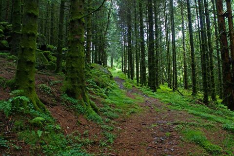 „Sengirės fondo“ įkūrėjus vienija kilnus tikslas