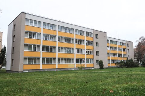 Sugrįžta Metų renovacijos projekto rinkimai
