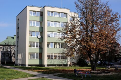 Paskelbė naują kvietimą teikti paraiškas daugiabučių renovacijai