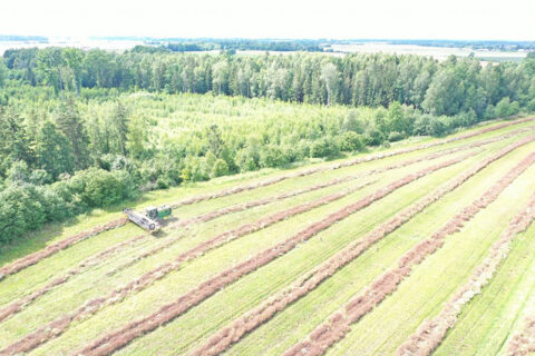 Parama žemės ūkio produktams perdirbti sulaukė ir kooperatyvų dėmesio