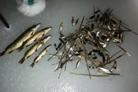 Norėdamas pabėgti nuo pareigūnų lydekautojas šoko į ledinį vandenį