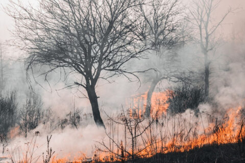 Žolės degintojai gali nenustebti, kai virš jų galvų pasirodys dronai