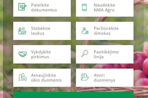 Šiemet paraiškas NMA bus galima pateikti greičiau ir paprasčiau