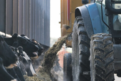 Greičiau ir efektyviau: žemės ūkio produktų perdirbėjams parama atveria naujų galimybių