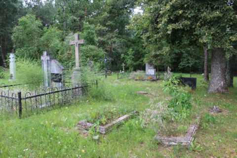 Kunigaikščio Ruklio pilis, neiškastas Napoleono lobis, pagrobta skulptūra ir pradinukų streikas
