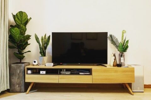„Philips” televizoriai: patogus techninių savybių ir kainos derinys
