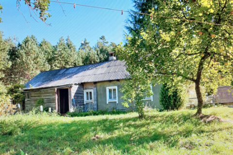 Peršviečiami obuoliai, motina, įkalinta bušlate, ir kaip vaikai tapo tarybų valdžios priešais