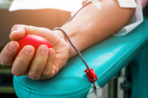Gavusiems Garbės donoro vardą – antrojo laipsnio valstybinė pensija