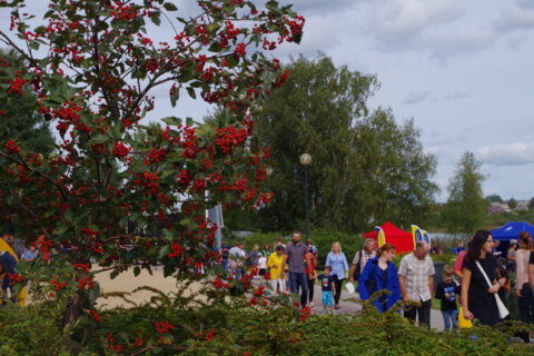 Savaitgalį Utenoje – miesto gimtadieniui skirti renginiai: nuo žirgų lenktynių iki garsių atlikėjų pasirodymų