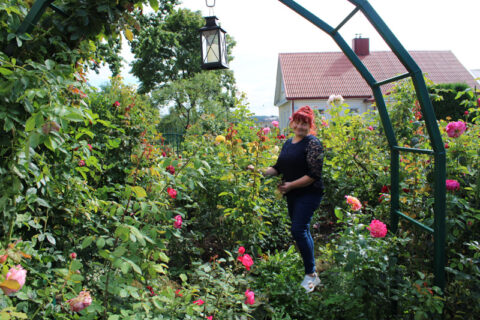 Rožes dievinanti S. Kalinauskienė: „Esu priklausoma nuo šių gėlių“