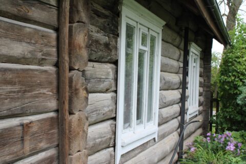 Galvydžių giminės lizdas, nesutepami švarios sąžinės marškiniai, pirmininkas, skaičiavęs vištas, ir prakeikta valdžia, trėmusi savo kareivius
