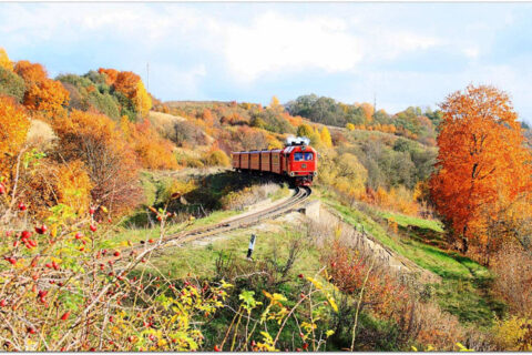 Darius Liutikas: 2023-iaisis – siauruku keliavo daugiau kaip 25 tūkst. keleivių