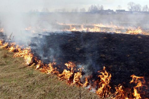 Žolės deginimo prevencija: ką svarbu padaryti šiandien?