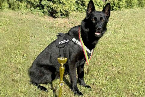 Policijos tarnybinis šuo Rafis – garbingos vietos laimėtojas