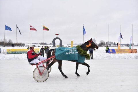 Šiais metais Sartų žirgų lenktynės vyks