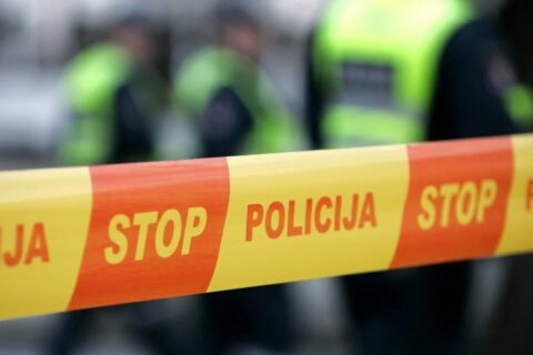 Netoli Utenos buvo rastas Antrojo pasaulinio karo laikų sprogmuo