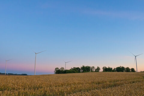 Kiek elektros energijos iš tikrųjų pagamina vėjo elektrinės?