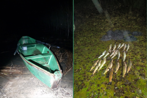 Akcija „Saugom lydeką“: nustatyti brakonieriai tinklais pagavę lydekų