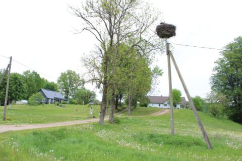 Nematyti neregėti dalykai, trapus šykštuolės cibulio laiškas, nekrikštytos žemės monai ir kaip jaunieji ūkinykai Smetonos laivu jūron važiavo