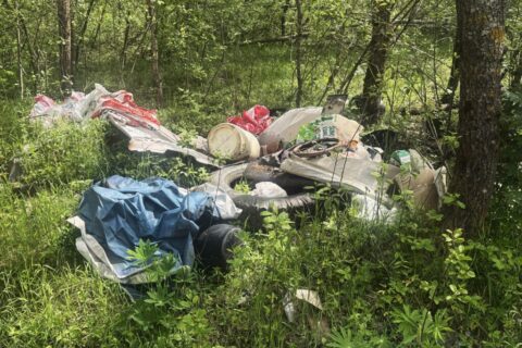 Miškai it sąvartynai: miškininkai skelbia šokiruojančius skaičius