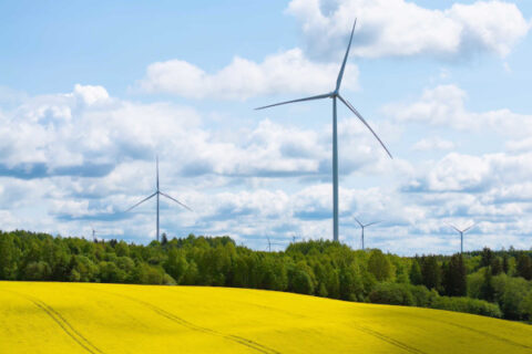 Didžiausias vėjo parkas Baltijos šalyse pasiekė pilną pajėgumą: 314 MW galia aprūpins ketvirtį milijono namų ūkių