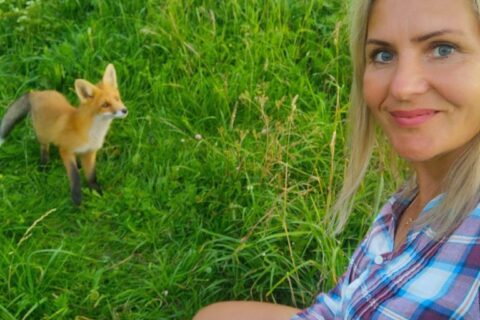 Ypatingas ryšys su lapėmis: menininkė Edita su smalsiu svečiu dalijasi net braškėmis