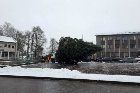 Iš Puodžių kaimo į Uteną atvyko žaliaskarė
