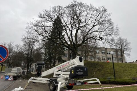 Miesto puošmena sulaukė dovanos