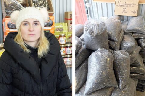 Paukščių maitinimas žiemą: nuo saulėgrąžų turguje iki praskaidrintos kasdienybės