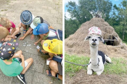 Vaikų vasaros stovyklose – nuo piemenėlių edukacijų iki putų šou ir veterinarijos pradžiamokslio