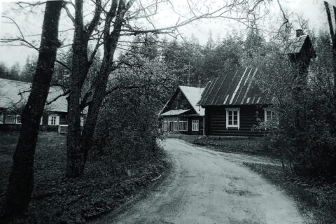 …Labiausiai pasiilgstu gaidžių giedojimo…